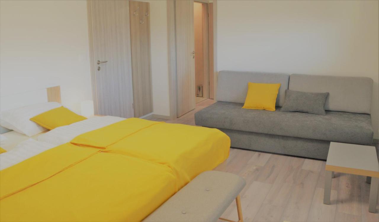 Apartma Vila Zigmund تسركنيتسا المظهر الخارجي الصورة