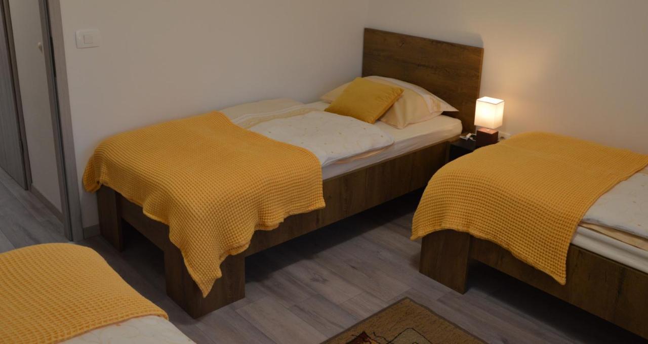 Apartma Vila Zigmund تسركنيتسا المظهر الخارجي الصورة