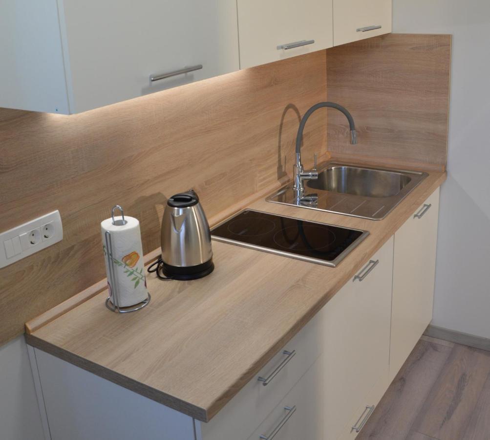 Apartma Vila Zigmund تسركنيتسا المظهر الخارجي الصورة