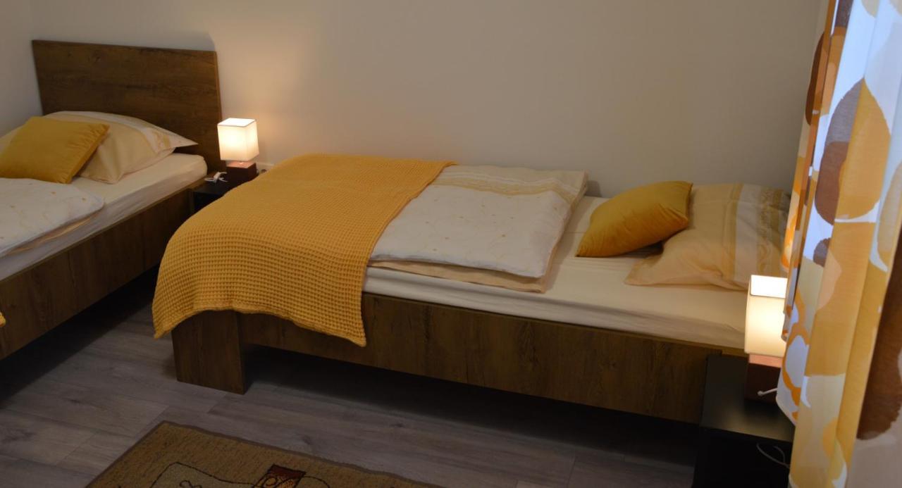 Apartma Vila Zigmund تسركنيتسا المظهر الخارجي الصورة